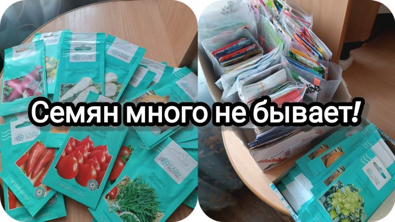 Семян много не бывает!
