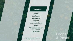 Sivanto® Prime Insecticide