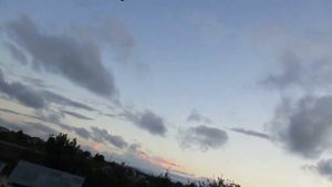 Тест биноклей Veber 8 30 levenhuk 10 25 Celestron 10 25