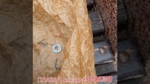 Сепаратор ремонт ишлатиш плава•2 Separator remont ishlatish 905867707 #сепаратор #сич #суть  #рек