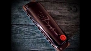 Giuseppe Verdi: "Va, pensiero" from Nabucco (Diatonic harmonica) +TABS