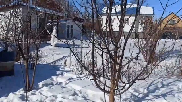 Дом Владимировка смотреть онлайн