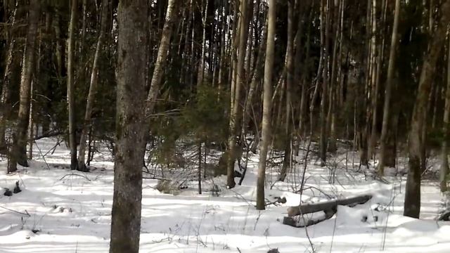 Бурение малогабаритной установкой смотреть онлайн