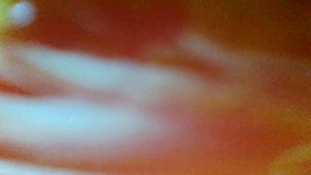 Вишенка(Вишенку,вишенку посадил наш класс. Вот какая вишенка - выросла у нас(наброски) смотреть онлайн