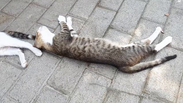 Тем кто ложиться спать, спокойного сна смотреть онлайн