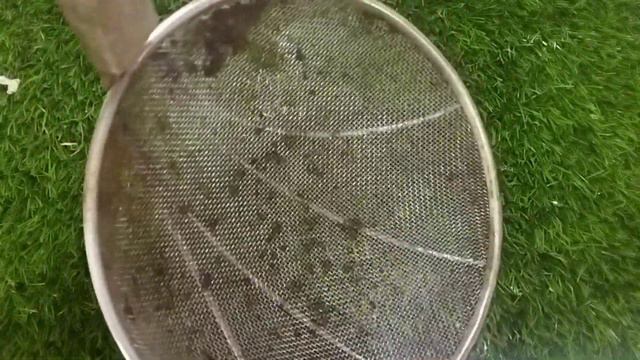 Best out of waste/gardening ideas for home/garden setting ideas/indoor plant setting ideas/gardenin