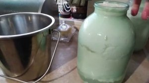 Делаю творог из козьего молока.