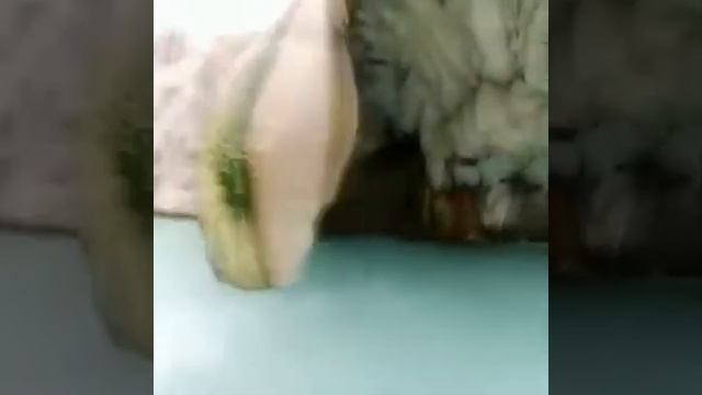 Памир гармчашма