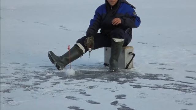 фоторолик БЕЛОЯРКИ 2часть смотреть онлайн