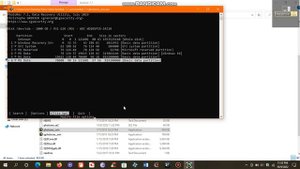 TestDisk Data recovery Tutorial Windows 10/11