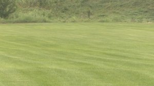 Рулонный газон в Усть-Донецком. "Станица на Дону"