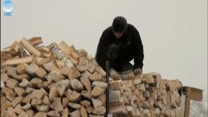 Оформить разрешение на заготовку дров будет проще
