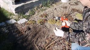 Мини культиватор для рыхления почвы и удаления сорняков