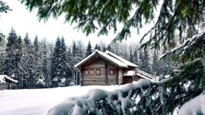 Нереально красивая зима! Зимняя природа во всех красках