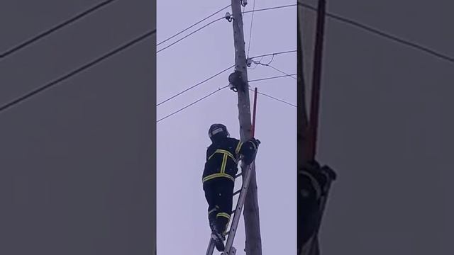 Пожарные спасают кота смотреть онлайн