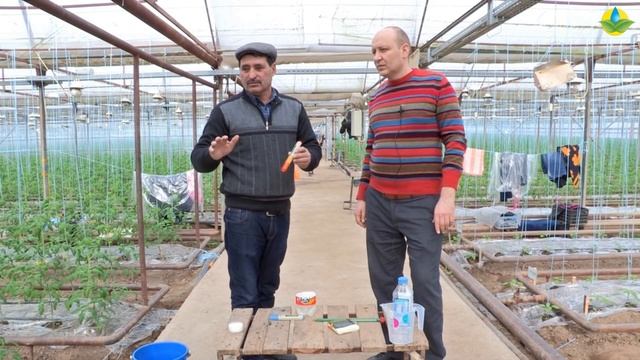 pH-метр. Кислотность воды для растений смотреть онлайн