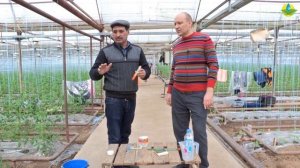 pH-метр. Кислотность воды для растений