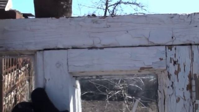 Теплица из подручных средств своими руками.
