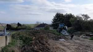 Человеческие экскременты в качестве удобрения в Англии.