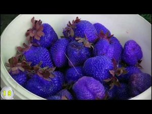 15 КРУТЫХ ТОВАРОВ _Лучшее на Али