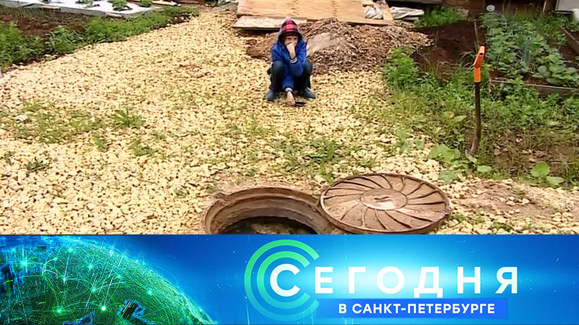 «Сегодня в Санкт-Петербурге»: 7 июля 2023 года