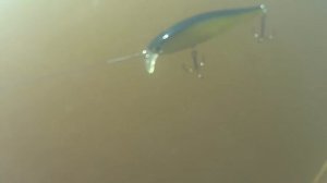 Яростная атака щуки! очень красивая рыбалка. Lucky Craft B'Freeze SB 65SP