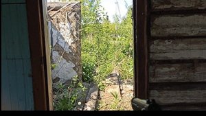 Нашёл логово маньяка!