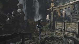 Tomb Raider (2013) на 100%. "Гробница путешественника". Прибрежный лес.