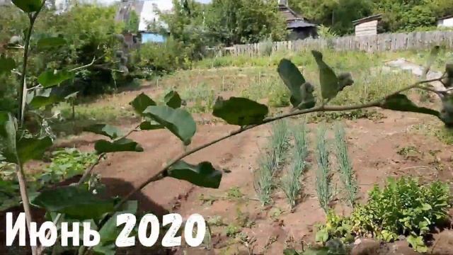 НЕкогда заброшенная дача. БЫЛО/ СТАЛО). Итоги года. смотреть онлайн