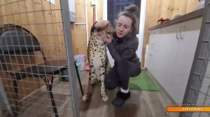 Прямой эфир.  21 ноября