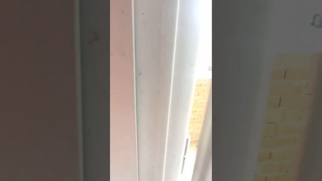1000461313.mp4