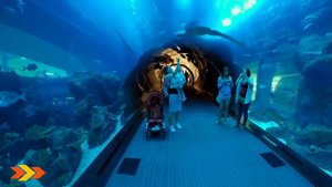 ОАЭ Мега круто! Гигантский аквариум в Дубай Молл The Dubai Mall