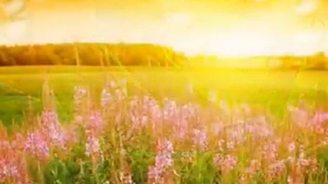 Мантра гармонии, спокойствия, счастья и мандалы смотреть онлайн