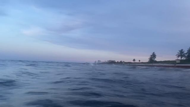 Жизнь состоит из плюсов и минусов. Как отпустить негатив. Relaxing video Майами Флорида