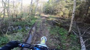 Наивное сравнение Avantis 300 Pro EFI и Forsage 450 Enduro