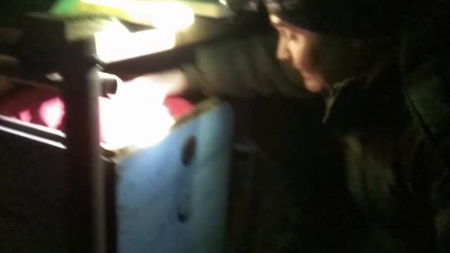 Зимовка в Пермском крае 2020. Как зимуют отводки смотреть онлайн