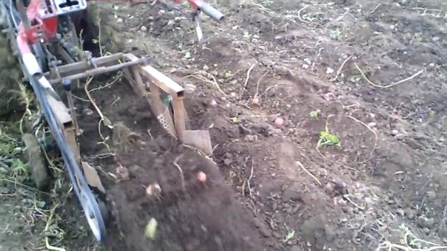 Копка картошки самодельной транспортерной картофелекопалкой