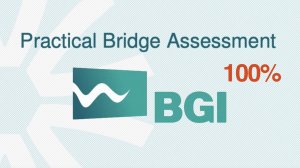 Как проходить? - Practical Bridge Assessment - Vships / BGI, 100%