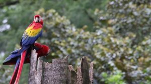 Доброго утра и хорошего дня ВСЕМ!