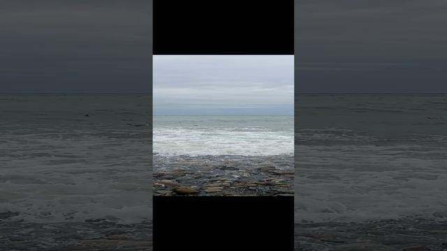 Море зимой в Лоо.