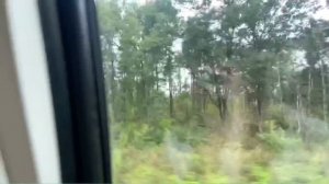 Поезд «Иван Паристый» Москва-Брянск