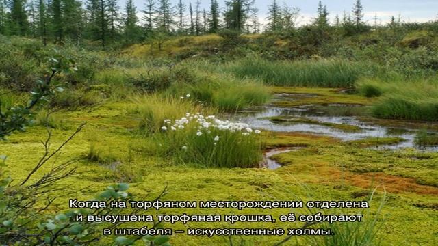 Добыча торфа промышленным способом смотреть онлайн