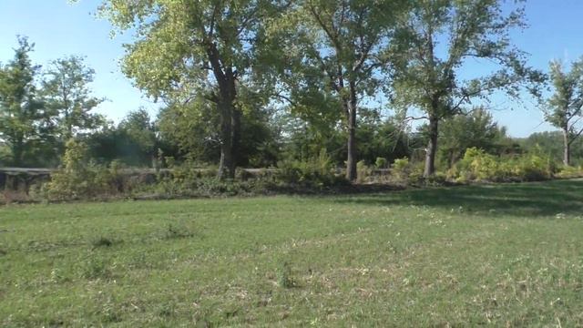 Переехал на поздний подсолнух. смотреть онлайн