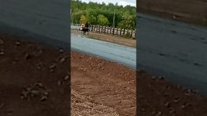 гонка лошадей Екатерин бург Пермь Башкирия Удмуртия
