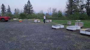 пчеловодные будни 3 мая 2023 год