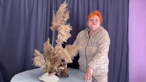 Тростник пампасная трава сухоцветы pampas grass хранение тростника уход за пампасной травой камыш