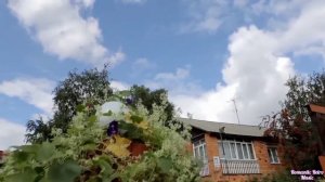 Анастасия Куимова&Максим Сарпов-Роман.