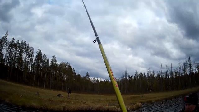 Открытие летнего сезона 2021. Карелия. смотреть онлайн