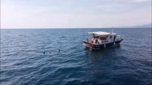 Морская рыбалка в Адлере с приготовлением улова