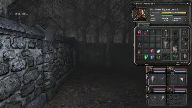 Legend of Grimrock 2 all secrets playthrough pt. 9 смотреть онлайн